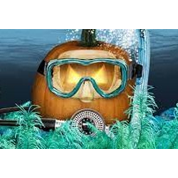 Pumpkin Dive 2023